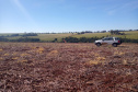Em 15 de maio, o Paraná dá início ao combate à ferrugem asiática da soja. Nesta data termina o prazo para a colheita ou dessecação da oleaginosa, com o objetivo de preparar as áreas de cultivo para o vazio sanitário, período no qual é proibido semear ou manter plantas vivas de soja no campo.  -  Curitiba, 14/05/2021   - Foto: Camila Roberta Javorski Ueno/Adapar
