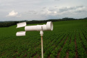 Em 15 de maio, o Paraná dá início ao combate à ferrugem asiática da soja. Nesta data termina o prazo para a colheita ou dessecação da oleaginosa, com o objetivo de preparar as áreas de cultivo para o vazio sanitário, período no qual é proibido semear ou manter plantas vivas de soja no campo.  -  Curitiba, 14/05/2021  -  Foto: SEAB
