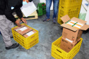 O Paraná recebeu mais 62 mil doses da vacina Coronavac, da parceria entre Sinovac e Instituto Butantan, nesta sexta-feira (14). As doses se referem a uma atualização na 19ª pauta de distribuição de vacinas contra a Covid-19 do Ministério da Saúde.Foto: Américo Antonio/SESA