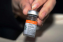 O Paraná recebeu mais 62 mil doses da vacina Coronavac, da parceria entre Sinovac e Instituto Butantan, nesta sexta-feira (14). As doses se referem a uma atualização na 19ª pauta de distribuição de vacinas contra a Covid-19 do Ministério da Saúde.  Foto: Américo Antonio/SESA