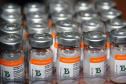 O Paraná recebeu mais 62 mil doses da vacina Coronavac, da parceria entre Sinovac e Instituto Butantan, nesta sexta-feira (14). As doses se referem a uma atualização na 19ª pauta de distribuição de vacinas contra a Covid-19 do Ministério da Saúde..  Foto: Américo Antonio/SESA