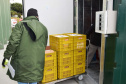 O Paraná recebeu mais 62 mil doses da vacina Coronavac, da parceria entre Sinovac e Instituto Butantan, nesta sexta-feira (14). As doses se referem a uma atualização na 19ª pauta de distribuição de vacinas contra a Covid-19 do Ministério da Saúde.  Foto: Américo Antonio/SESA