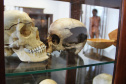 No dia Internacional do Museu (18 de maio), a Secretaria de Estado da Segurança Pública do Paraná (Sesp) destaca um personagem que tem total conexão com o Museu de Ciências Forenses da Polícia Científica do Paraná (PCP), o curador Joel Camargo, responsável por cuidar do acervo e que passou por todas as transformações da instituição e, também, do museu, em mais de 40 anos de trabalho e dedicação