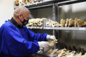 No dia Internacional do Museu (18 de maio), a Secretaria de Estado da Segurança Pública do Paraná (Sesp) destaca um personagem que tem total conexão com o Museu de Ciências Forenses da Polícia Científica do Paraná (PCP), o curador Joel Camargo, responsável por cuidar do acervo e que passou por todas as transformações da instituição e, também, do museu, em mais de 40 anos de trabalho e dedicação