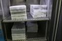 vacinas contra Covid-19 produzidas pela parceria entre Pfizer e BioNTech. O terceiro lote dos imunizantes, que chegou  à Capital nesta terça-feira (18), com mais 39.780 doses
Foto Gilson Abreu/AEN