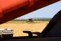 Fazenda Bassani em Santa Isabel do Ivaí. Foto: Ari Dias/AEN