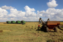 Colheita de arroz - Fazendas Volta Grande e Nova Brasília.Foto: Ari Dias/AEN