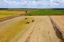 Fazenda Bassani em Santa Isabel do Ivaí. Foto: Ari Dias/AEN