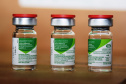 O Centro de Medicamentos do Paraná (Cemepar) enviou nesta sexta-feira (21) o maior quantitativo de insumos em um só dia desde o início do combate a Covid-19 no Estado. Ao todo, 1.114.257 unidades estão sendo enviadas para as 22 Regionais de Saúde.  -  Curitiba, 21/05/2021  -  Foto: Américo Antonio/SESA
