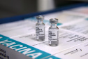 O Centro de Medicamentos do Paraná (Cemepar) enviou nesta sexta-feira (21) o maior quantitativo de insumos em um só dia desde o início do combate a Covid-19 no Estado. Ao todo, 1.114.257 unidades estão sendo enviadas para as 22 Regionais de Saúde.  -  Curitiba, 21/05/2021  -  Foto: Américo Antonio/SESA