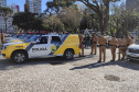 AIFU intensifica ações neste domingo e flagra aglomerações em locais públicos durante fiscalização na Capital
. Foto:SESP