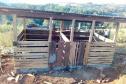 IDR-Paraná desenvolve projetos para inclusão produtiva de famílias vulneráveis  - Foto: IDR