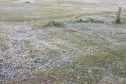 Paraná registra novas temperaturas negativas com a mais intensa massa de ar frio do ano. Foto: Alessandro Vieira/AEN
