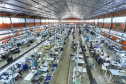 CAGED - Paraná tem melhor quadrimestre na geração de empregos em 11 anos  -  Foto: José Fernando Ogura/AEN