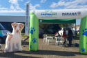 O CastraPet, Programa Permanente de Esterilização de Cães e Gatos, da Secretaria de Estado do Desenvolvimento Sustentável e do Turismo (Sedest), estará em Itaperuçu, a partir do dia 01 até 12 de junho para a castração de 553 animais. Com Itaperuçu, a equipe do CastraPet completa 44 municípios beneficiados.  Itaperuçu, 31/05/2021  -  Foto: SEDEST