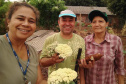 Pesquisadores da Unioeste desenvolvem horta comunitária com plantas medicinais
Caixa de entrada. (foto de antes da pandemia). Foto: Unioeste