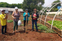Pesquisadores da Unioeste desenvolvem horta comunitária com plantas medicinais
Caixa de entrada. (foto de antes da pandemia). Foto: Unioeste