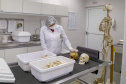 Peritos do Paraná usam antropologia forense para desvendar crimes; conheça o trabalho.
Foto : Gilson Abreu/AEN