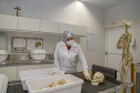 Peritos do Paraná usam antropologia forense para desvendar crimes; conheça o trabalho.
Foto : Gilson Abreu/AEN