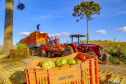 plantação de tomate
Reserva-Pr
Gilson Abreu/AEN
