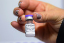 Paraná receberá nesta segunda mais 145.080 vacinas da Pfizer
.Foto: Américo Antonio/SESA