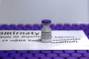 Paraná receberá nesta segunda mais 145.080 vacinas da Pfizer
.Foto: Américo Antonio/SESA