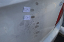 Paraná investe em tecnologias para acelerar a identificação de vítimas e desvendar crimes. Foto: SESP
