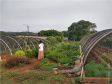  Projeto da Unioeste organiza e dá visibilidade ao trabalho de mulheres agricultoras. Foto: UNIOESTE