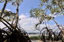 No Dia Mundial dos Oceanos, comemorado nesta terça-feira (8), a Portos do Paraná reforça o compromisso com a preservação do ambiente, que ocupa 71% da superfície da Terra, é importante para a atividade econômica de milhões de famílias, além de ajudar a regular o clima do planeta.  -  Paranaguá, 08/06/2021  -  Foto: Claudio Neves/Portos do Paraná