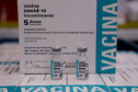 Vacina Oxford/AstraZeneca -. Foto: Ari Dias/AEN