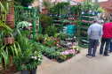 Com a publicação do Decreto Municipal, 960/2021, no combate a Covid-19, agora com a bandeira laranja, mas ainda em estado de alerta, o Mercado de Flores da Ceasa Curitiba volta a atender normalmente a partir desta quinta-feira (9/06), funcionando das 6 as 14 horas.  -  Curitiba, 09/06/2021  -  Foto: CEASA-PR