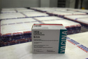 O Paraná recebeu na noite desta quarta-feira (9) mais 238 mil vacinas contra a Covid-19, sendo 237 mil doses do imunizante AstraZeneca produzida no Brasil pela Fiocruz e mil doses da AstraZeneca/Covax/Oxford, importadas por meio do consórcio Covax Facility. As vacinas fazem parte da 24ª pauta de distribuição do Ministério da Saúde.  -  curitiba, 09/06/2021  -  Foto: Américo Antonio/SESA