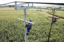 Paraná Trifásico    -  Foto: Divulgação Copel