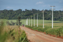 Paraná trifásico  - Foto: José Fernando Ogura
