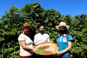 Projeto Mulheres do Café valoriza produtoras e garante fama internacional ao Norte Pioneiro. Foto: Ari Dias/AEN
