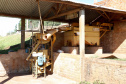Projeto Mulheres do Café valoriza produtoras e garante fama internacional ao Norte Pioneiro. Foto: Ari Dias/AEN
