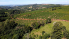 Projeto Mulheres do Café valoriza produtoras e garante fama internacional ao Norte Pioneiro. Foto: Ari Dias/AEN