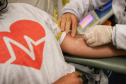 Com estoque 40% abaixo do ideal, Hemepar faz apelo à população para doar sangue. Foto: José Fernando Oura/AEN