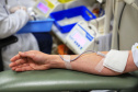 Com estoque 40% abaixo do ideal, Hemepar faz apelo à população para doar sangue. Foto: José Fernando Oura/AEN