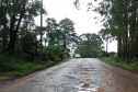 O Departamento de Estradas de Rodagem do Paraná (DER/PR) homologou o resultado da licitação para pavimentar a PR-160, entre Imbaú e Reserva, na região dos Campos Gerais  -  Curitiba, 16/06/2021  -  Foto: DER/PR