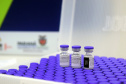 Parte das novas vacinas contra a Covid-19 chega ao Paraná já nesta quinta. Segundo o cronograma do Ministério da Saúde, as 143.910 doses do imunizante Comirnaty, produzido pela Pfizer/BioNtech, estarão no voo LA-4793, que pousa no Aeroporto Internacional Afonso Pena, em São José dos Pinhais, na Região Metropolitana de Curitiba, às 19h05. Vacina Pfizer  -  Curitiba, 17/06/2021 -  Foto: Américo Antonio/SESA