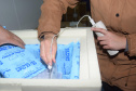 Parte das novas vacinas contra a Covid-19 chega ao Paraná já nesta quinta. Segundo o cronograma do Ministério da Saúde, as 143.910 doses do imunizante Comirnaty, produzido pela Pfizer/BioNtech, estarão no voo LA-4793, que pousa no Aeroporto Internacional Afonso Pena, em São José dos Pinhais, na Região Metropolitana de Curitiba, às 19h05. Vacina Pfizer  -  Curitiba, 17/06/2021 -  Foto: Américo Antonio/SESA