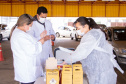 Nesta quarta-feira (16), servidores e professores da Universidade Estadual de Ponta Grossa (UEPG) receberam a primeira dose da vacina contra a Covid-19. A ação no Centro de Eventos e na Estação Arte. A equipe recebeu a vacina do laboratório Pfizer/BioNTech e seguiu no calendário que convocou profissionais do ensino superior de 38 a 53 anos completos.  -  Ponta Grossa, 16/06/2021  -  Foto: William Clarindo e Arquivo Pessoal dos Entrevistados/UEPG