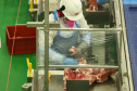 Paraná avança na industrialização e tem o terceiro maior crescimento do País no intervalo de 10 anos. Foto: José Fernando Ogura/AEN