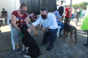 Os programas CastraPet (Programa Permanente de Esterilização de Cães e Gatos) e Paraná Mais Verde, desenvolvidos pela Secretaria do Desenvolvimento Sustentável e do Turismo (Sedest) e seu órgão vinculado, o Instituto Água e Terra (IAT), foram inscritos na 28ª edição do Prêmio Expressão Ecologia.  -  Foto: Alessandro Vieira/AEN