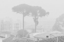 O inverno começa às 0h32 desta segunda-feira - 21 de junho - e termina à 16h21 do dia 22 de setembro. Segundo o Sistema de Tecnologia e Monitoramento Ambiental do Paraná (Simepar), no primeiro dia o tempo fica parcialmente nublado nas regiões Norte e Noroeste.  -  Curitiba, 18/06/2021  -  Foto: Denis Ferreira Netto