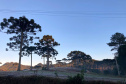 O inverno começa às 0h32 desta segunda-feira - 21 de junho - e termina à 16h21 do dia 22 de setembro. Segundo o Sistema de Tecnologia e Monitoramento Ambiental do Paraná (Simepar), no primeiro dia o tempo fica parcialmente nublado nas regiões Norte e Noroeste.  -  Curitiba, 18/06/2021 -  Curitiba, 25/05/2021  -  Foto: Ana Tigrinho/AEN