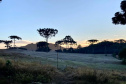 O inverno começa às 0h32 desta segunda-feira - 21 de junho - e termina à 16h21 do dia 22 de setembro. Segundo o Sistema de Tecnologia e Monitoramento Ambiental do Paraná (Simepar), no primeiro dia o tempo fica parcialmente nublado nas regiões Norte e Noroeste.  -  Curitiba, 18/06/2021.  -  Curitiba, 25/05/2021  -  Foto: Ana Tigrinho/AEN
