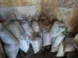 Forças de Segurança retomam ações conjuntas nos portos do Paraná - APREENSÕES - Foram fiscalizados cinco endereços no Bairro Guadalupe e, em um só local, encontradas cerca de 15 toneladas de produtos oriundos da vazada, acondicionados em um galpão. Os envolvidos foram encaminhados para a Delegacia.  -  Foto: Divulgação Portos do Paraná