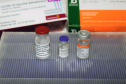 Até o momento, as vacinas distribuídas ao Paraná, que segue o PNI, foram CoronaVac, AstraZeneca e Pfizer. Foto:Américo Antonio/SESA